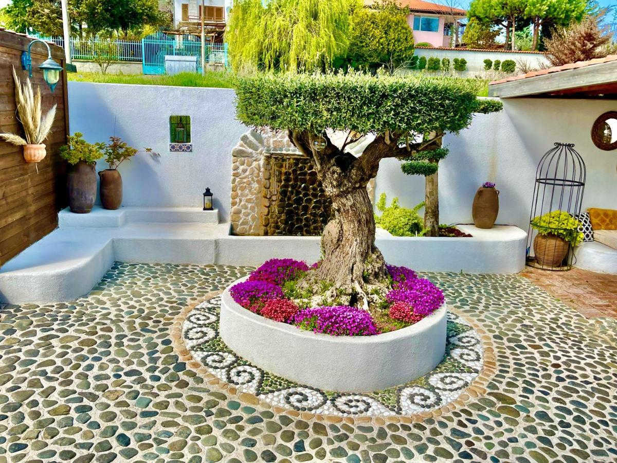 אפרטהוטל סוזופול Casa De Oro Alma מראה חיצוני תמונה